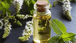 Image for Peppermint Scalp Massage/or Aromatherapy